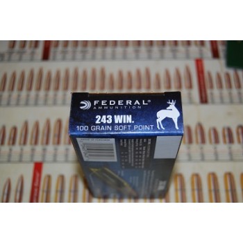 .243 Federal 100gr Soft Point - Box of 20 .243 Federal 100gr Soft Point - Box of 20